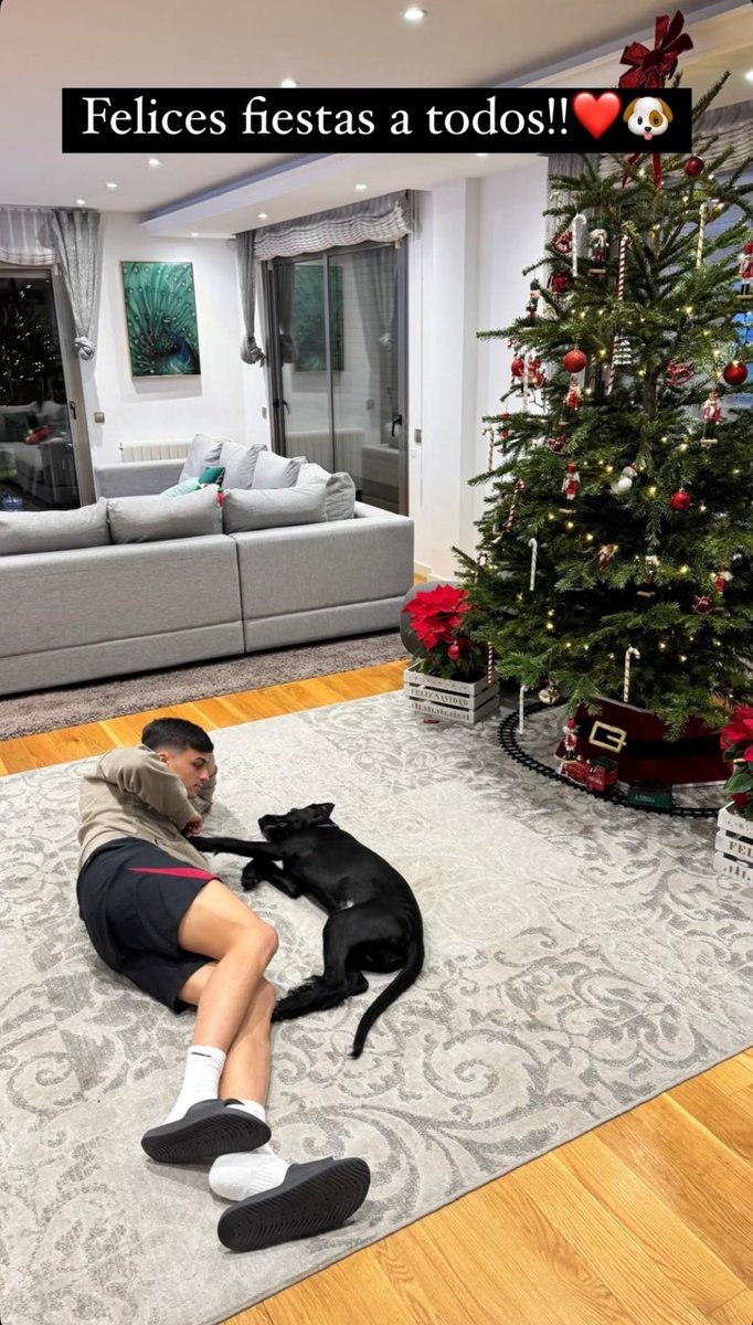別人曬女友你曬狗，佩德里社媒曬照與愛犬共度平安夜??</p>
                    </div>

                    <br />
                    <div   id=